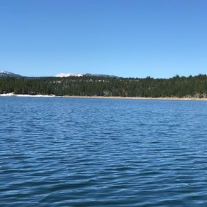 Meet your Posher, Meg